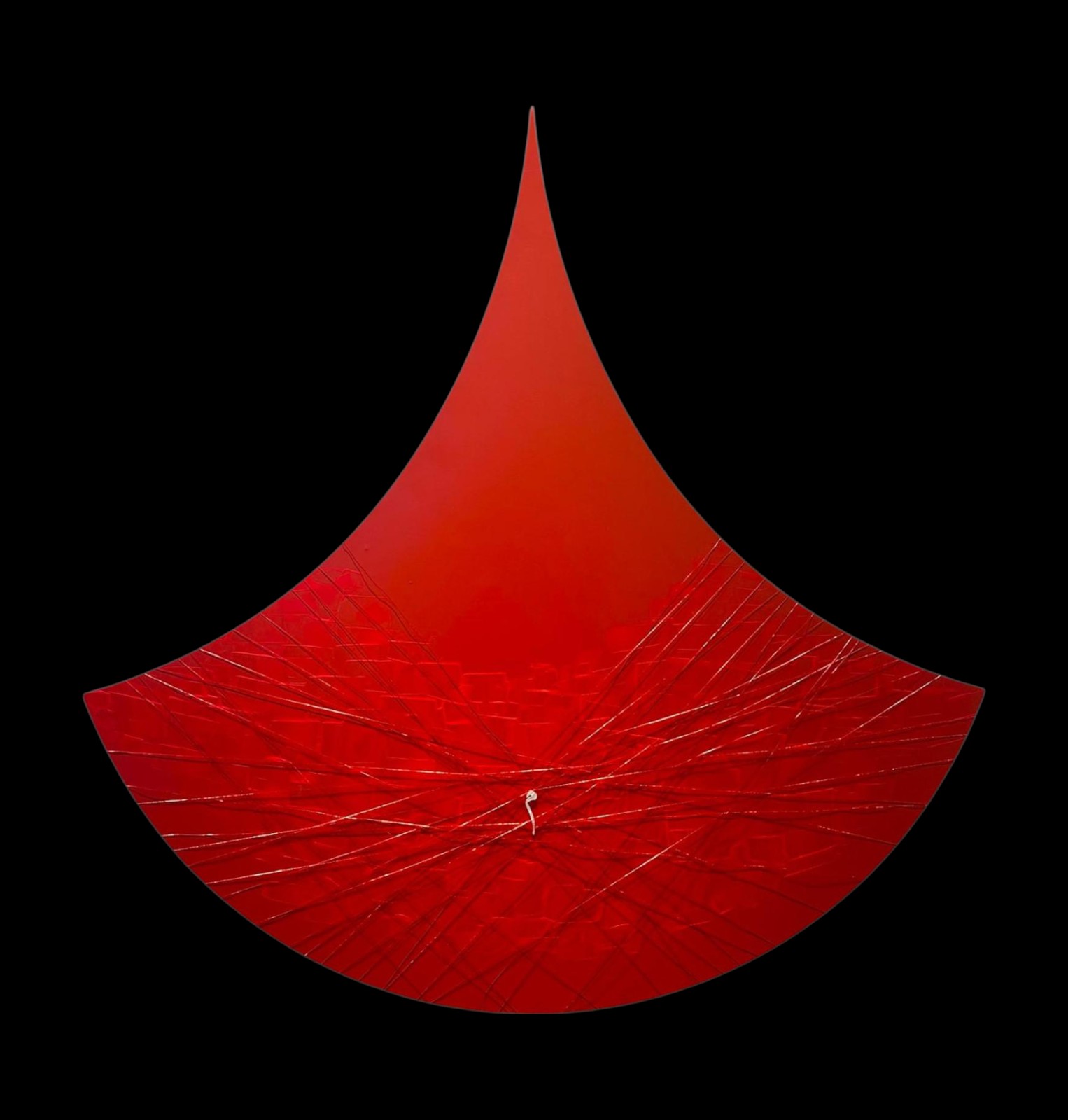 PHOTO-2026-01-11-23-06-15 (3)